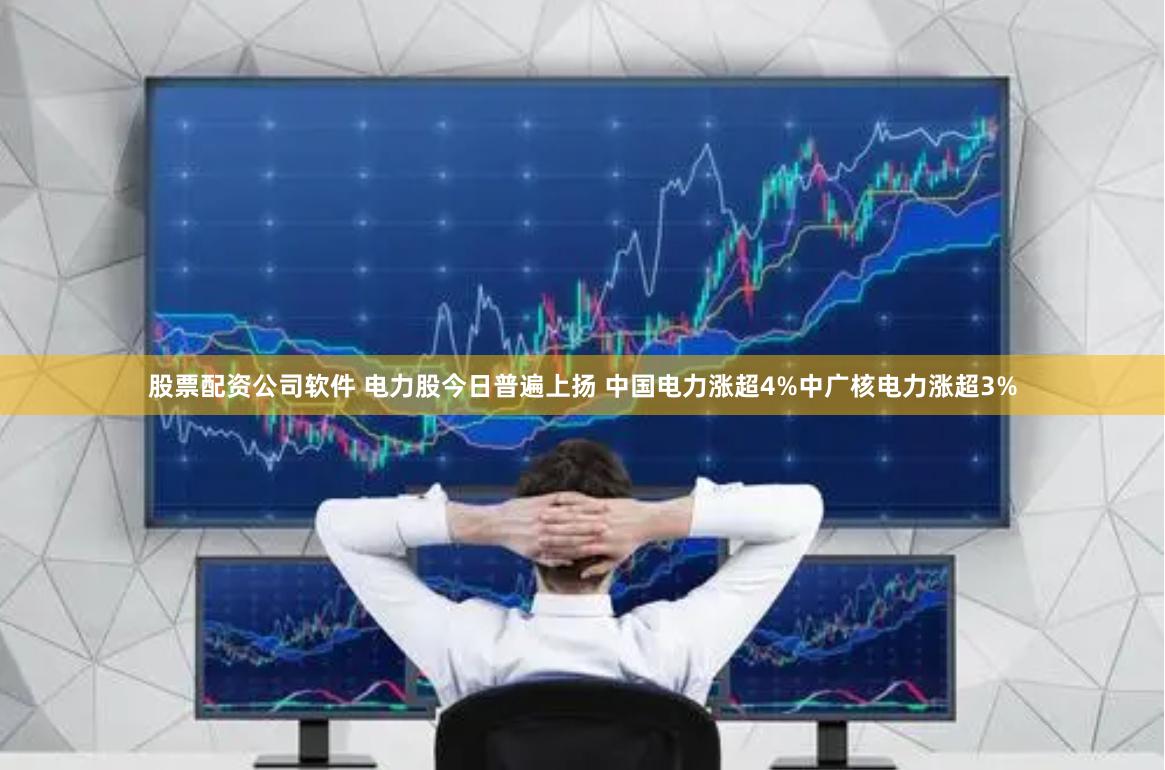 股票配资公司软件 电力股今日普遍上扬 中国电力涨超4%中广核电力涨超3%