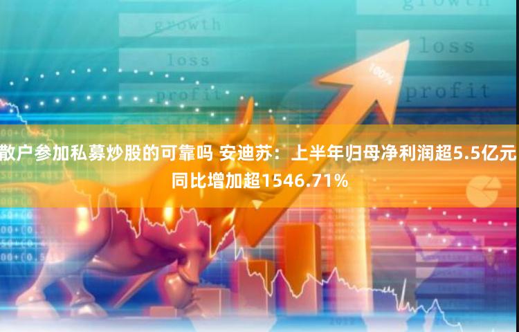 散户参加私募炒股的可靠吗 安迪苏：上半年归母净利润超5.5亿元 同比增加超1546.71%