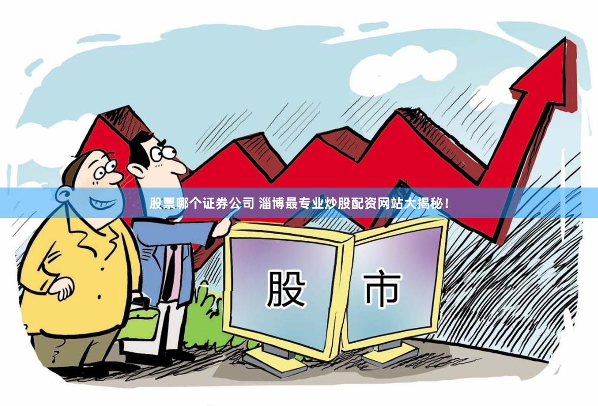 股票哪个证券公司 淄博最专业炒股配资网站大揭秘！