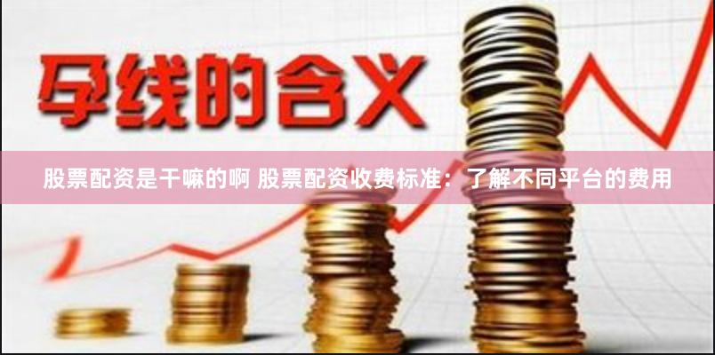 股票配资是干嘛的啊 股票配资收费标准：了解不同平台的费用